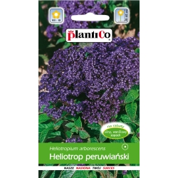 Heliotrop-peruwiański-0,1g-ST/PL